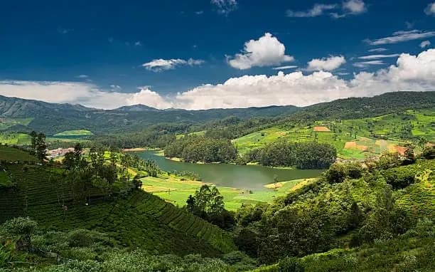Sushi Travels tour package - Ooty Tea Garden Trail