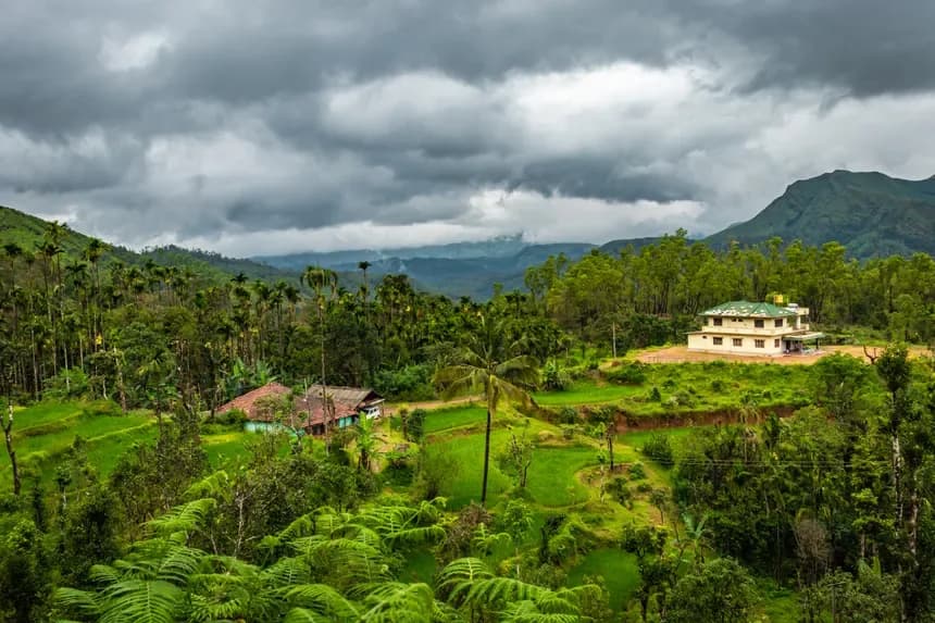 Sushi Travels tour package - Wayanad Nature Escape